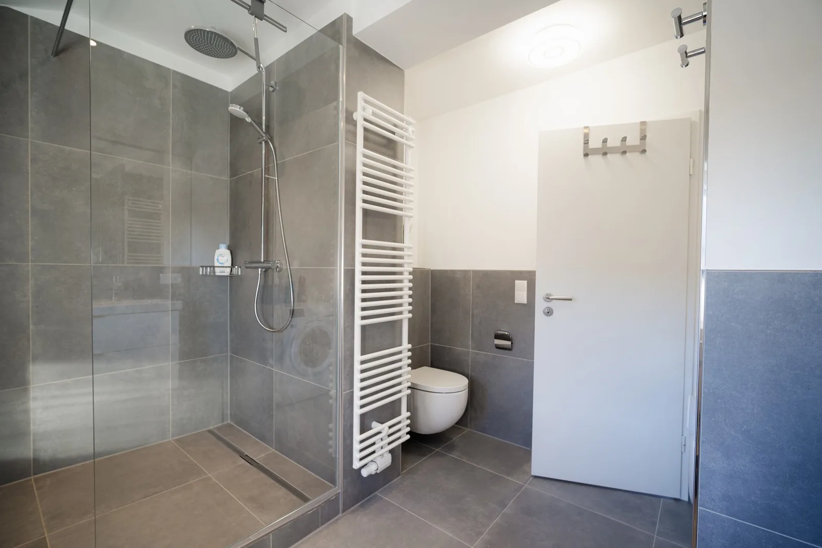Dusche und WC im Bad