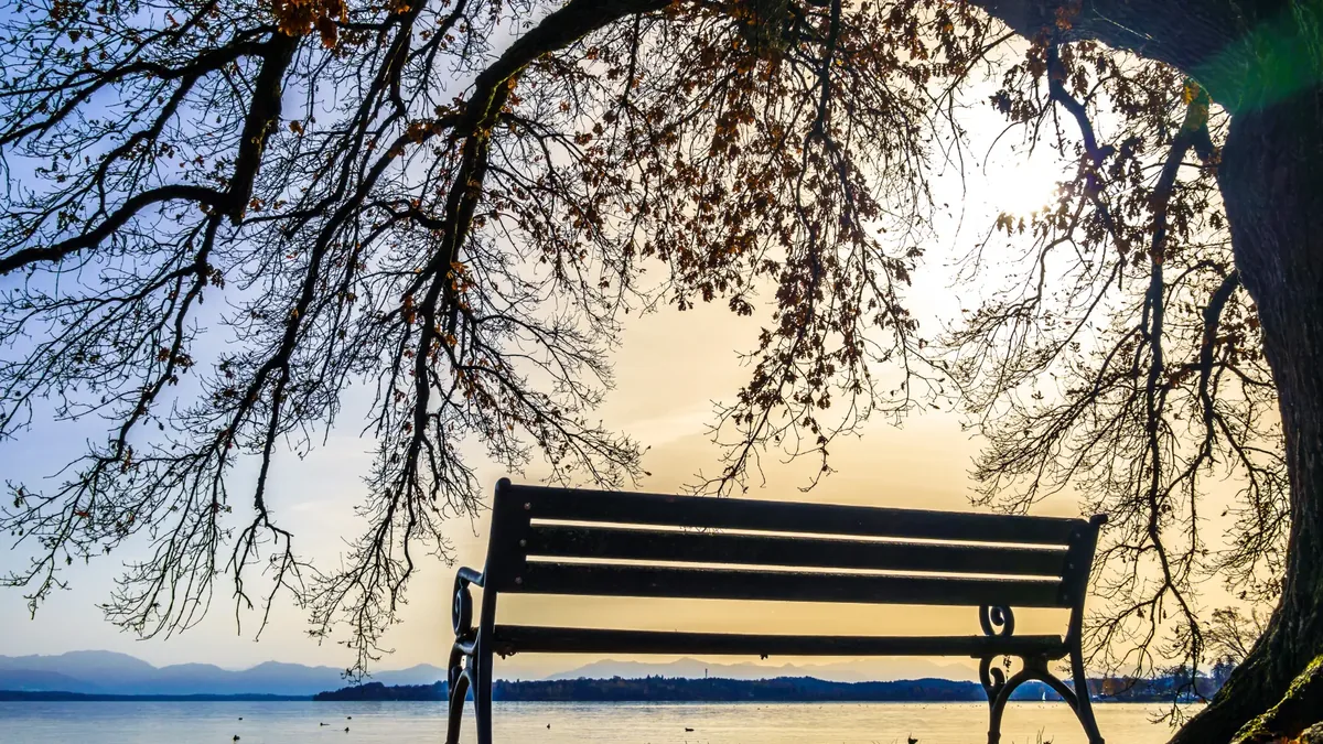 Parkbank unter einem Baum am Seeufer